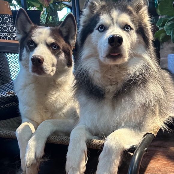 Meet your Posher, Sandra - Picture 2 of 6